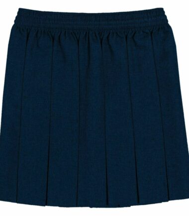 Girls Box Pleated All Round Elasticated Waist Skirt School Uniform Kids Skirt