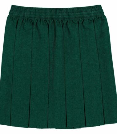 Girls Box Pleated All Round Elasticated Waist Skirt School Uniform Kids Skirt