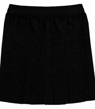 Girls Box Pleated All Round Elasticated Waist Skirt School Uniform Kids Skirt