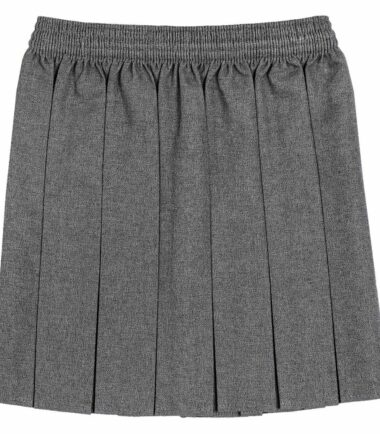 Girls Box Pleated All Round Elasticated Waist Skirt School Uniform Kids Skirt