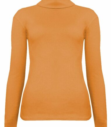 New-Womens-Plain-Ribbed-Knitted-Polo-Turtle-Neck-Stretch-Long-Sleeve-Jumper-Top New Womens Plain Ribbed Knitted Polo Turtle Neck Stretch Long Sleeve Jumper Top