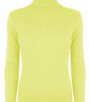 New-Womens-Plain-Ribbed-Knitted-Polo-Turtle-Neck-Stretch-Long-Sleeve-Jumper-Top New Womens Plain Ribbed Knitted Polo Turtle Neck Stretch Long Sleeve Jumper Top