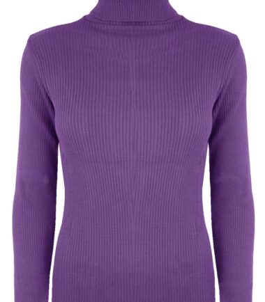 New-Womens-Plain-Ribbed-Knitted-Polo-Turtle-Neck-Stretch-Long-Sleeve-Jumper-Top New Womens Plain Ribbed Knitted Polo Turtle Neck Stretch Long Sleeve Jumper Top