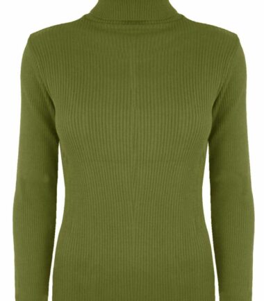 New-Womens-Plain-Ribbed-Knitted-Polo-Turtle-Neck-Stretch-Long-Sleeve-Jumper-Top New Womens Plain Ribbed Knitted Polo Turtle Neck Stretch Long Sleeve Jumper Top